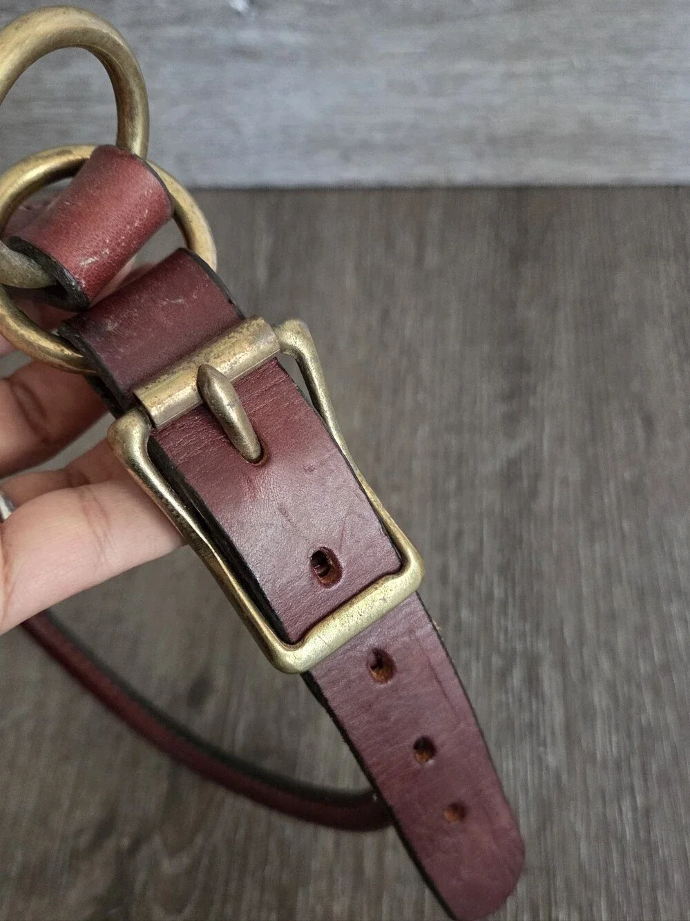 Mendota Leather Rolled Collar - Chestnut - 24